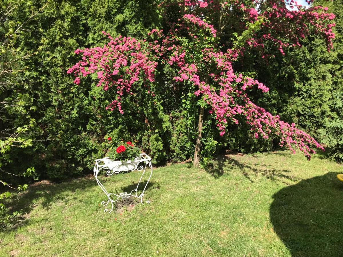 Pensjonat Rozanna Wawolnica Buitenkant foto